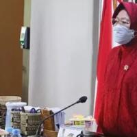 risma-mengaku-ditekan-soal-hapus-21-juta-data-ganda-bansos