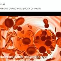 benarkah-menerima-donor-darah-dari-orang-yang-sudah-di-vaksinasi-covid-19-berbahaya