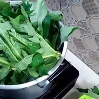 tips-cara-menghilangkan-pait-daun-pepaya