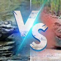 monster-penghuni-sungai-terpanjang-dunia-reptil-sang-raja-sungai-pemakan-manusia