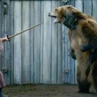 beruang-jepang--ngamuk-8-jam-dan-lukai-4-orang-akhirnya-ditembak-mati-gan