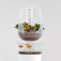 eva-pot-tanaman-dan-aquarium-yang-bisa-jadi-dekorasi-interior-rumahmu