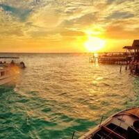 la-rambla-kawasan-pepohonan-barcelona-yang-cocok-banget-dibangun-di-kalimantan-timur