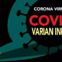 idi-ungkap-penyebab-utama-kasus-corona-naik--bukan-mudik-tapi-varian-delta