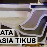 ternyata-ini-sebabnya-tikus-bisa-keluar-masuk-toilet-dengan-mudahnya-canggih-betul