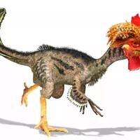 peneliti-bikin-ayam-berwujud-dinosaurus-chickenosaurus