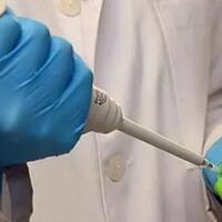 idi-sebanyak-545-dokter-meninggal-dunia-sepanjang-pandemi