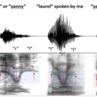 dua-ilusi-suara-ini-pernah-bikin-perdebatan-di-seluruh-dunia-gini-penjelasannya