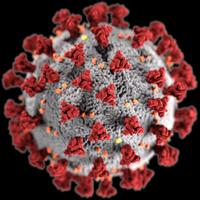 sejarah-virus-corona