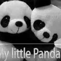 my-little-panda-not-for-children