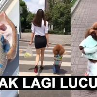 mereka-tidak-tertawa-mereka-benar-benar-tersiksa-jangan-lakukan-ini-pada-mereka