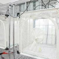 wow-singapura-punya-pabrik-nyamuk-bisa-produksi-jutaan-nyamuk-perminggu