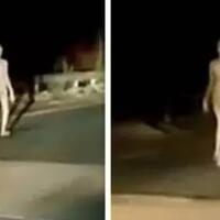 video-misteri-penampakan-sosok-alien-atau-hanya--wanita-telanjang--di-pinggir-jalan