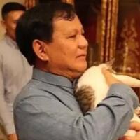 prabowo-kenalkan-kucing-mika-miki-miko-new-member-selain-bobby-the-cat