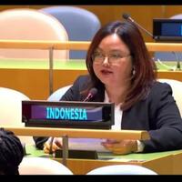 diplomat-ri-kenapa-diam-ketika-guru-nakes-di-papua-dibantai-kbb