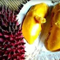 tak-hanya-durian-3-jenis-buah-khas-kalimantan-ini-sangat-mirip-dengan-durian