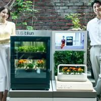 berkebun-indor-dengan-alat-ini