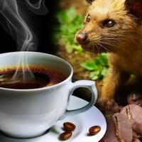 dulu-sampah-sekarang-primadona-5-sejarah-makanan-dan-minuman-elite-dunia