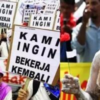 profil-perserta-squid-game-ala-indonesia