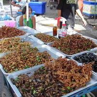 bisa-beli-istri-di-basar-ini-8-pasar-unik-di-dunia