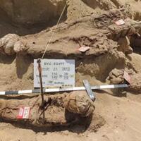 misteri-ribuan-mumi-di-mesir-belum-terpecahkan-oleh-para-arkeolog