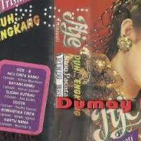 apakabar-lagu-pop-indonesia-berbahasa-daerah-siapa-yang-kangen-dengan-artis-ini