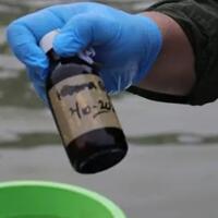 akhirnya-terungkap-ini-sumber-pencemaran-paracetamol-di-teluk-jakarta