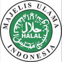 soal-cyber-army-ketua-mui-dki-densus-88-memahami