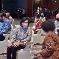 ini-jurus-baru-sri-mulyani-kejar-pajak-wp-indonesia-di-negeri-orang