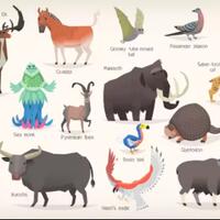 23-jenis-binatang-ini-punah-per-tahun-2021-ayo-indonesiaku-mari-berubah
