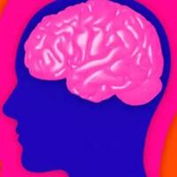 quiz-mampukah-otakmu-menjawab-pertanyaan-sederhana-ini-jangan-ngeres-dulu-ya