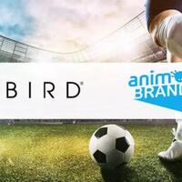 pencipta-the-sandbox-dan-cybird-akan-kembangkan-game-sepakbola-blockchain