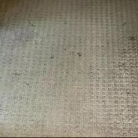 viral-bule-keluhkan-hotel-karantina-rp-2-juta-semalam-fasilitas-bagusan-kos