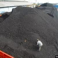 dibongkar-luhut-pln-beli-batu-bara-dari-makelar-bukan-dari-produsen