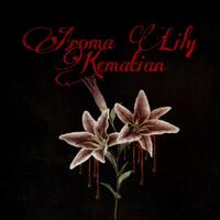 aroma-lily-kematian