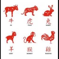 cek-4-shio-yang-diprediksi-bakal-banyak-rezeki-dan-tambah-kaya-di-tahun-2022