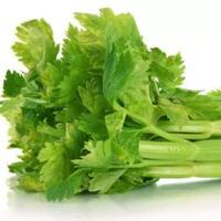 inilah-manfaat-daun-seledri-sebagai-produk-kecantikan