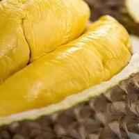 marak-penjual-culas-menjual-durian-palsu-ini-cara-memilih-durian-yang-baik-dan-benar