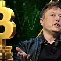 harga-kripto-anjlok-sanggupkan-tweet-elon-musk-menyelamatkannya