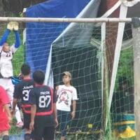 11-hewan-yg-pernah-masuk-lapangan-tanpa-izin-saat-pertandingan-bola-lucu
