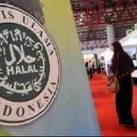 sekjen-mui-sebut-bnpt-blunder-pkb-lebih-baik-diam-daripada-ngomporin