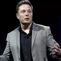 elon-musk-tantang-putin-berkelahi-satu-lawan-satu