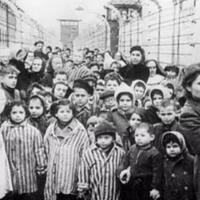 sisi-lain-dari-holocaust