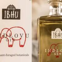 ide-gila-pengusaha-ini-membuat-gin-minuman-alkohol-dari-kotoran-gajah-afrika