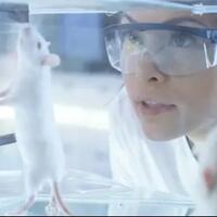 inilah-alasan-mengapa-tikus-identik-dengan-hewan-percobaan-lab
