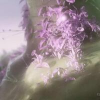 intip-koleksi-nft-unik-kolaborasi-coachella-x-88rising-dari-curry-tian