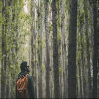 jika-tersesat-di-hutan-jangan-panik-lakukan-beberapa-hal-berikut-ini