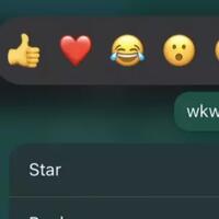 whatsapp-rilis-fitur-baru-reaksi-pakai-emoji-cara-baru-dia-akhiri-chat