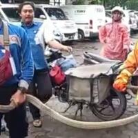 king-kobra-keluar-dari-paket-hebohkan-kantor-jasa-ekspedisi-di-cirebon