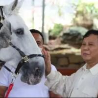 bertemu-prabowo-subianto-gibran-didukung-maju-jadi-gubernur-namun